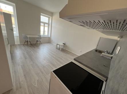 Pronájem vybaveného bytu 2 kk na Dukelská třída, Brno